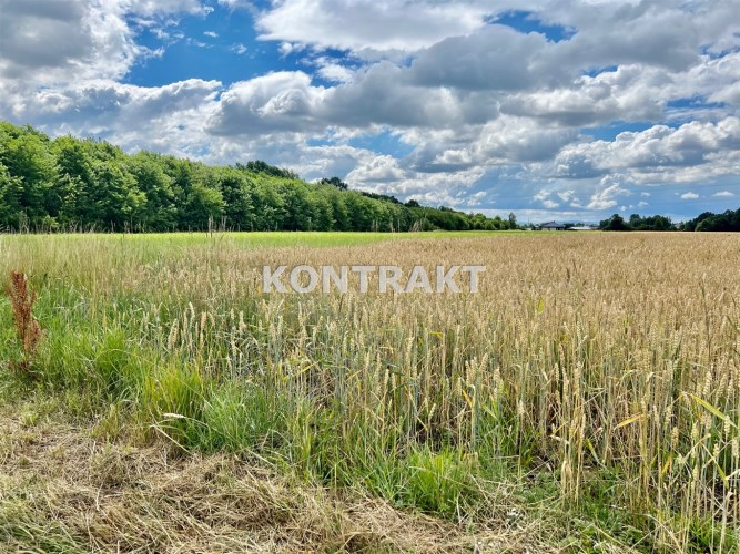 Babice kompleks działek na sprzedaż Babice kompleks działek na sprzedaż